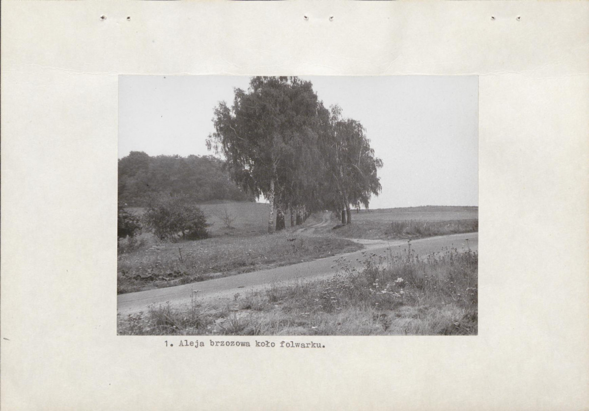Ewidencja parkowa, skan nr 13