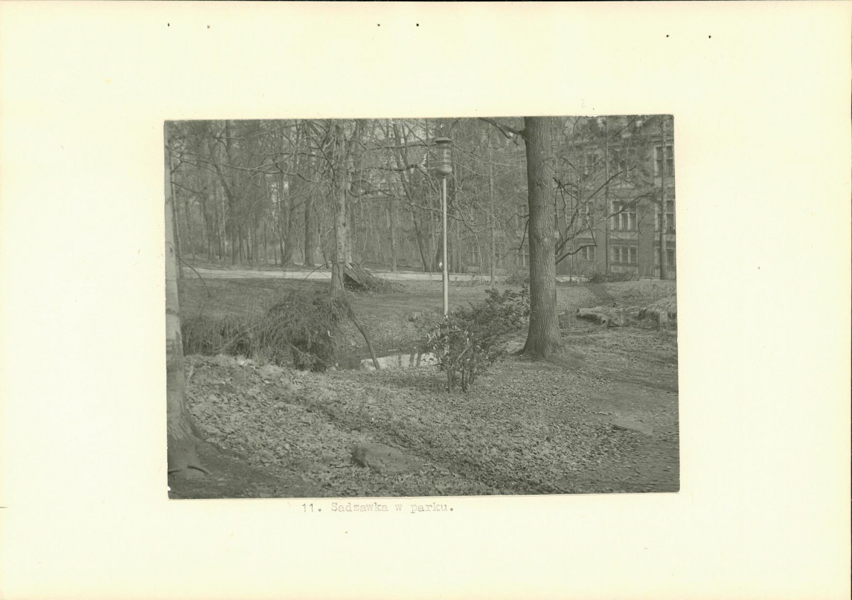 Ewidencja parkowa, skan nr 24