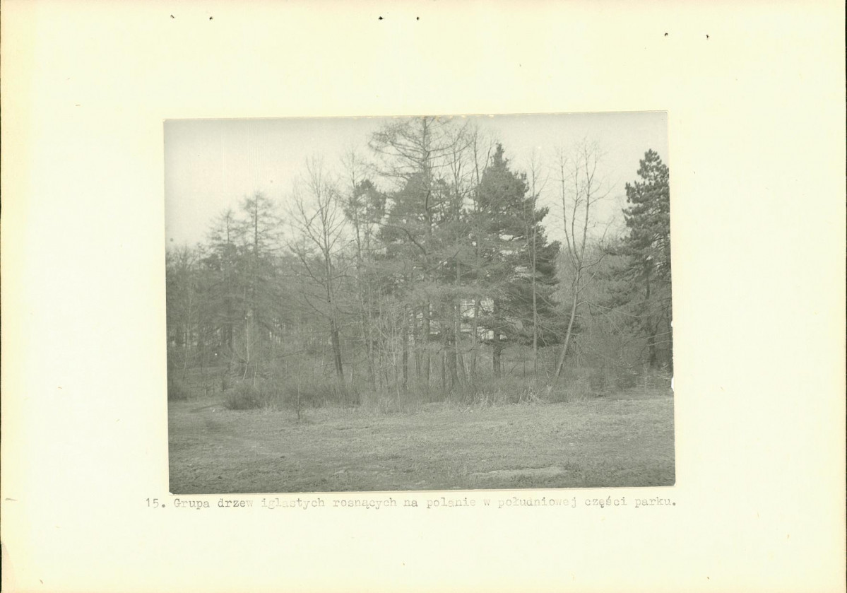 Ewidencja parkowa, skan nr 28