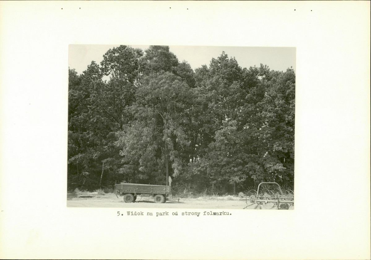 Ewidencja parkowa, skan nr 16