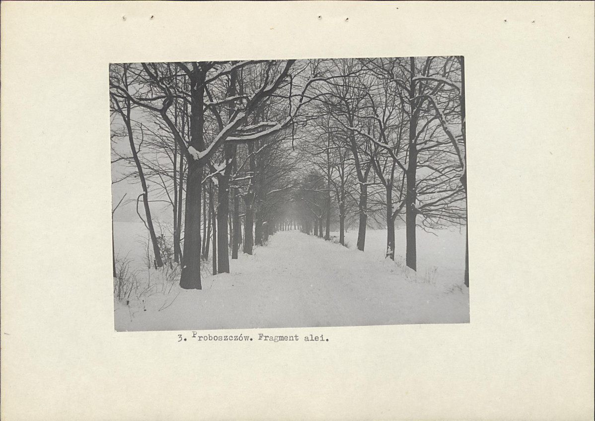 EP - Ewidencja parkowa, skan nr 13
