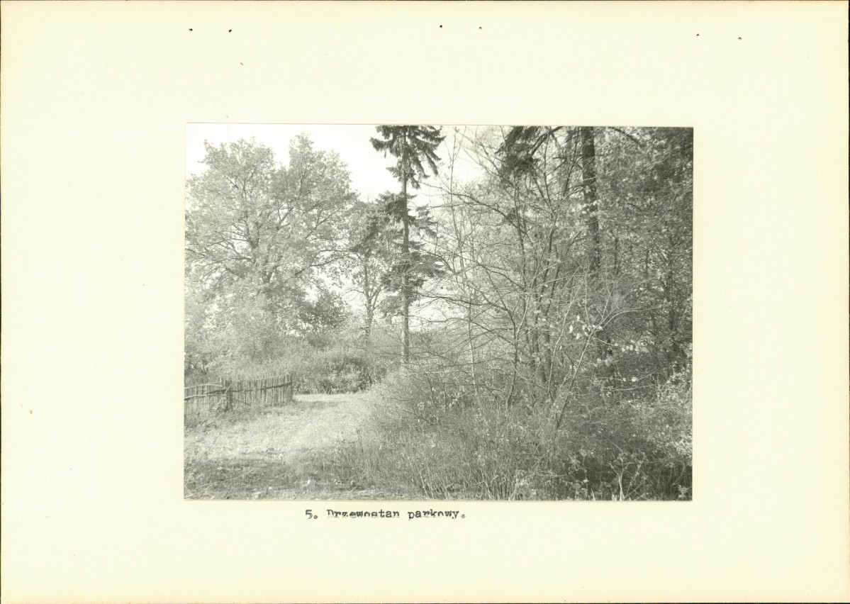 Ewidencja parkowa, skan nr 16