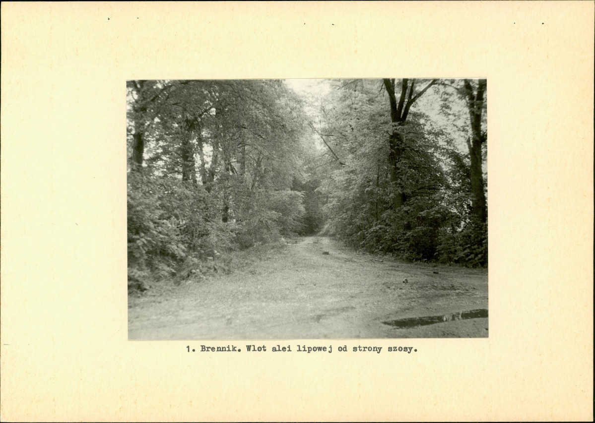 Ewidencja parkowa, skan nr 10
