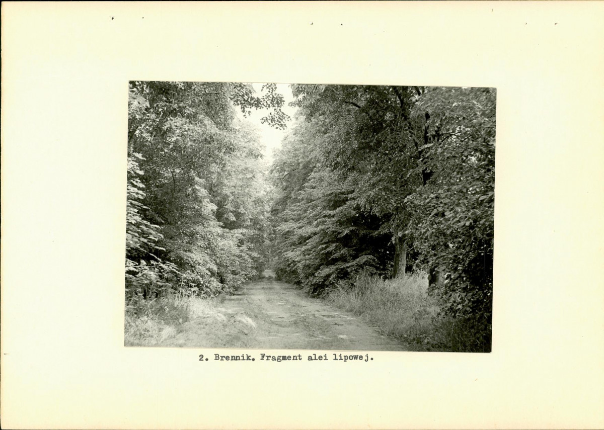 Ewidencja parkowa, skan nr 11