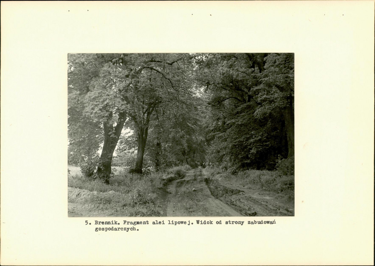 Ewidencja parkowa, skan nr 14