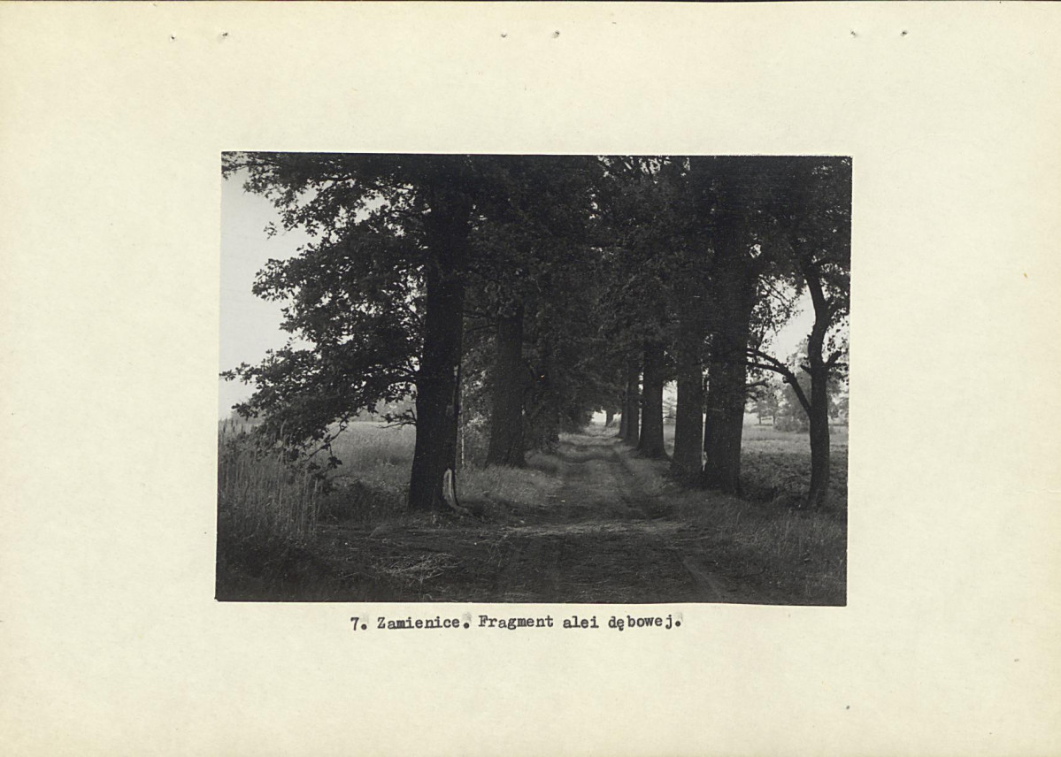 Ewidencja parkowa, skan nr 16