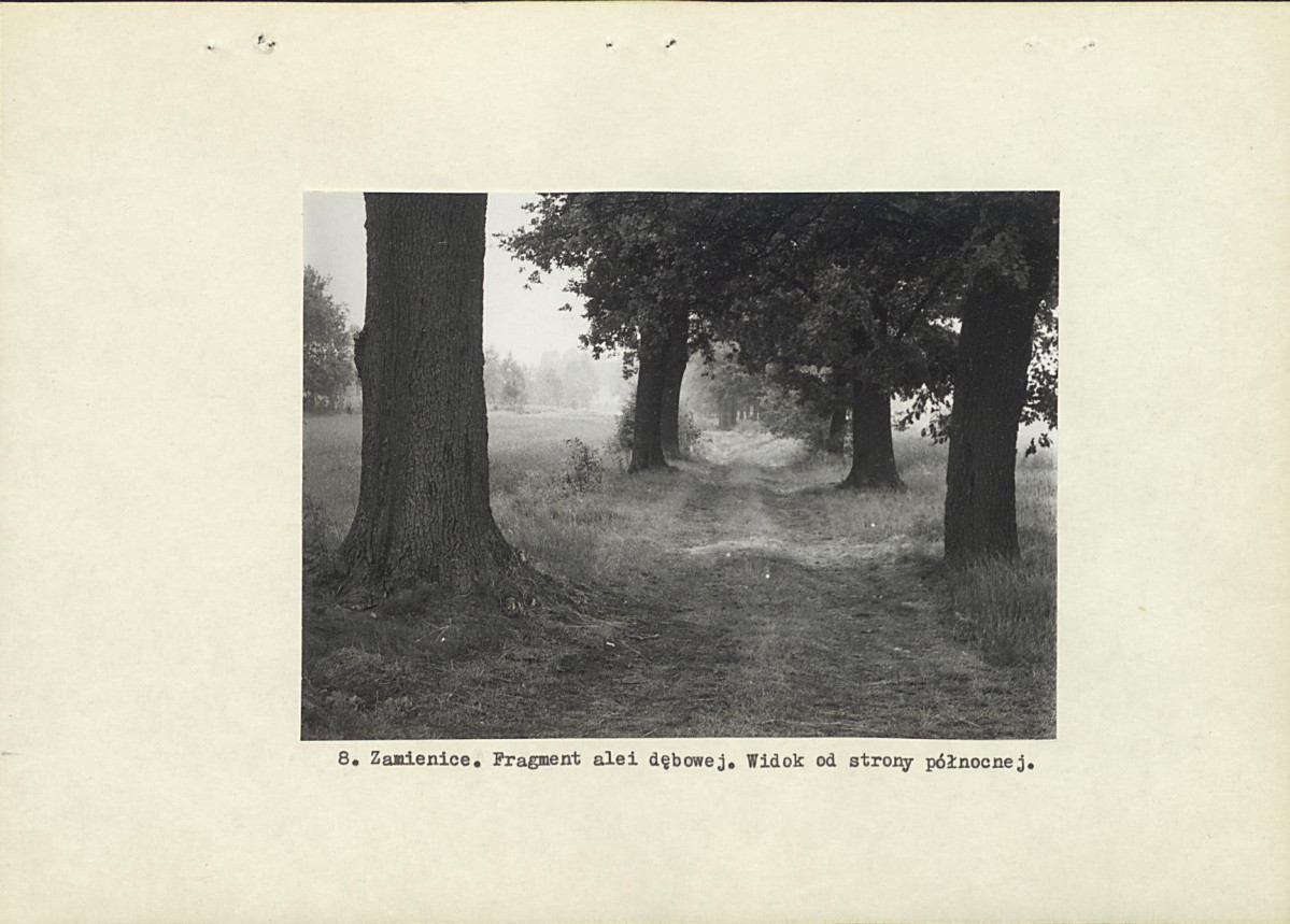 Ewidencja parkowa, skan nr 17