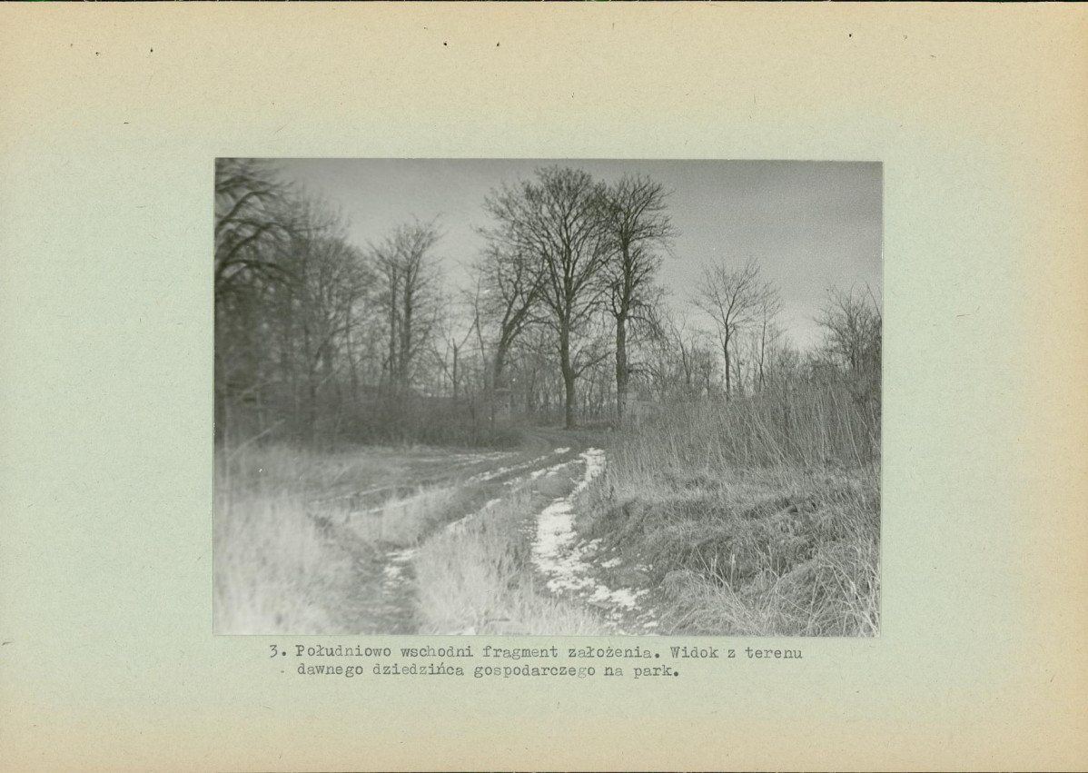 Ewidencja parkowa, skan nr 13