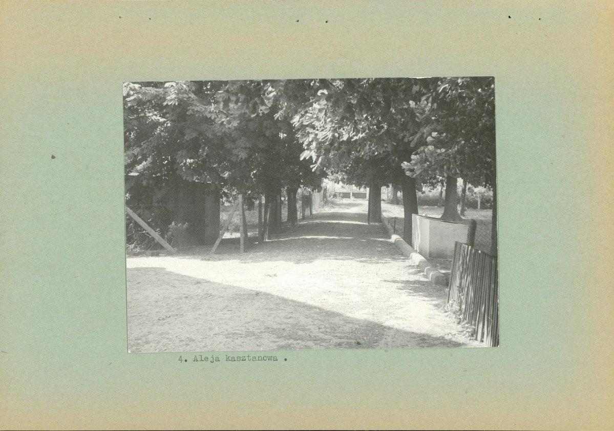 Ewidencja parkowa, skan nr 13