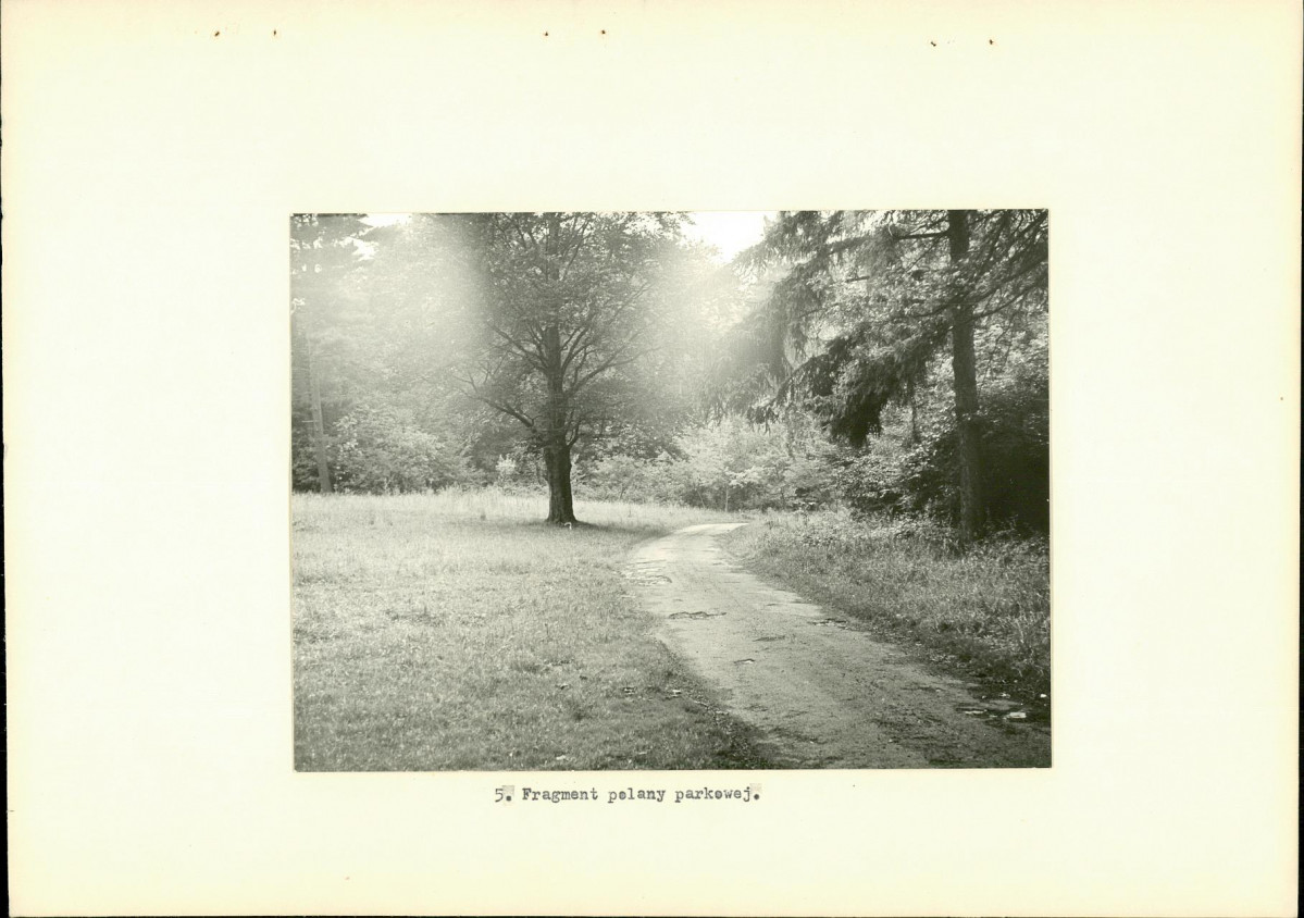 Ewidencja parkowa, skan nr 22