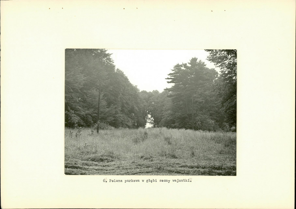 Ewidencja parkowa, skan nr 23