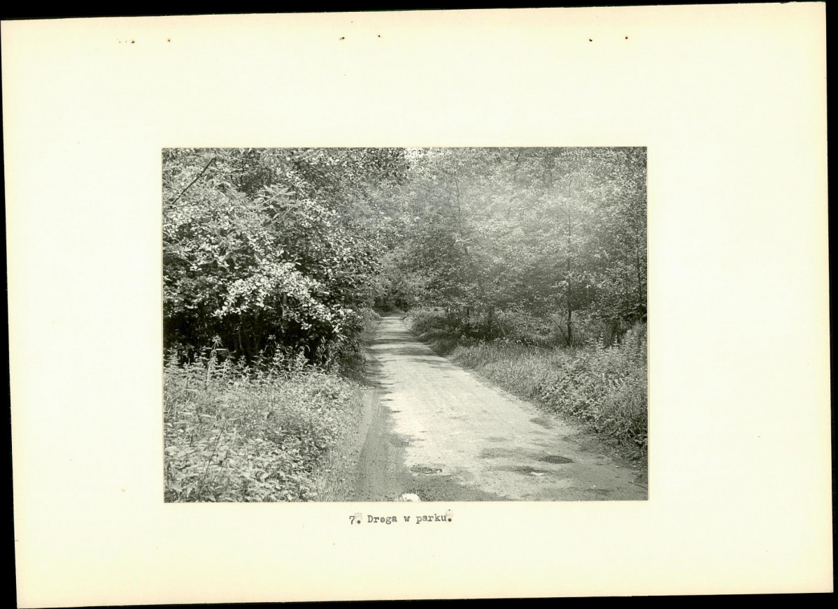 Ewidencja parkowa, skan nr 24