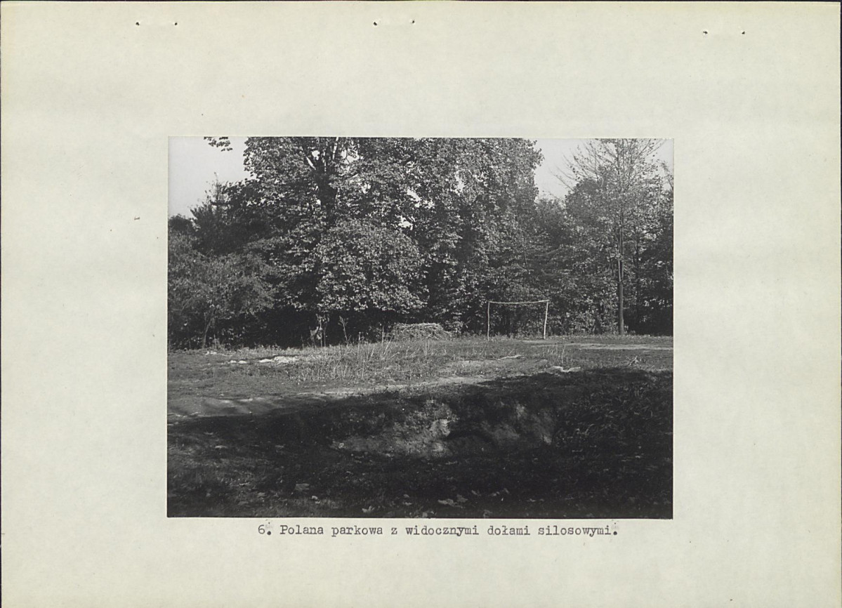 Ewidencja parkowa, skan nr 21