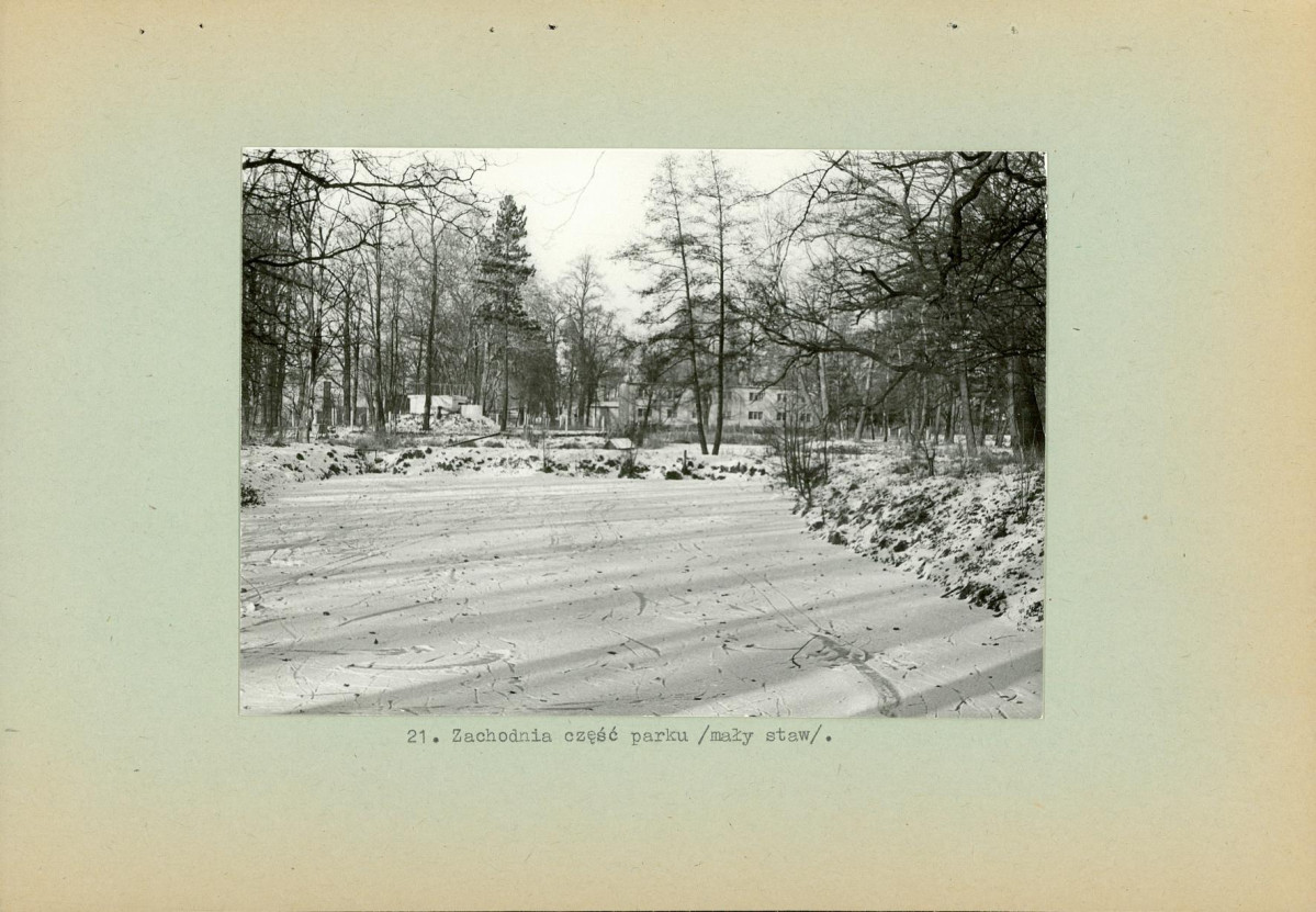 Ewidencja parkowa, skan nr 37