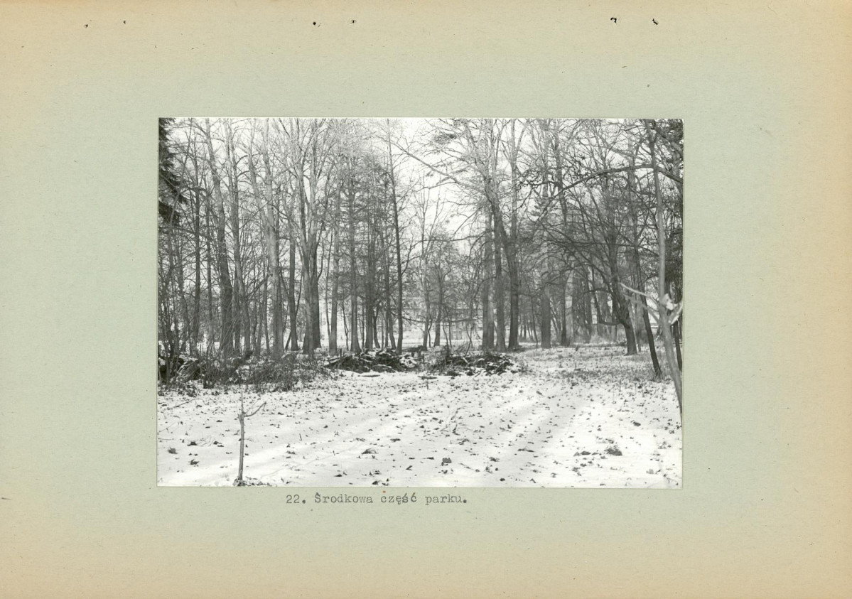 Ewidencja parkowa, skan nr 38