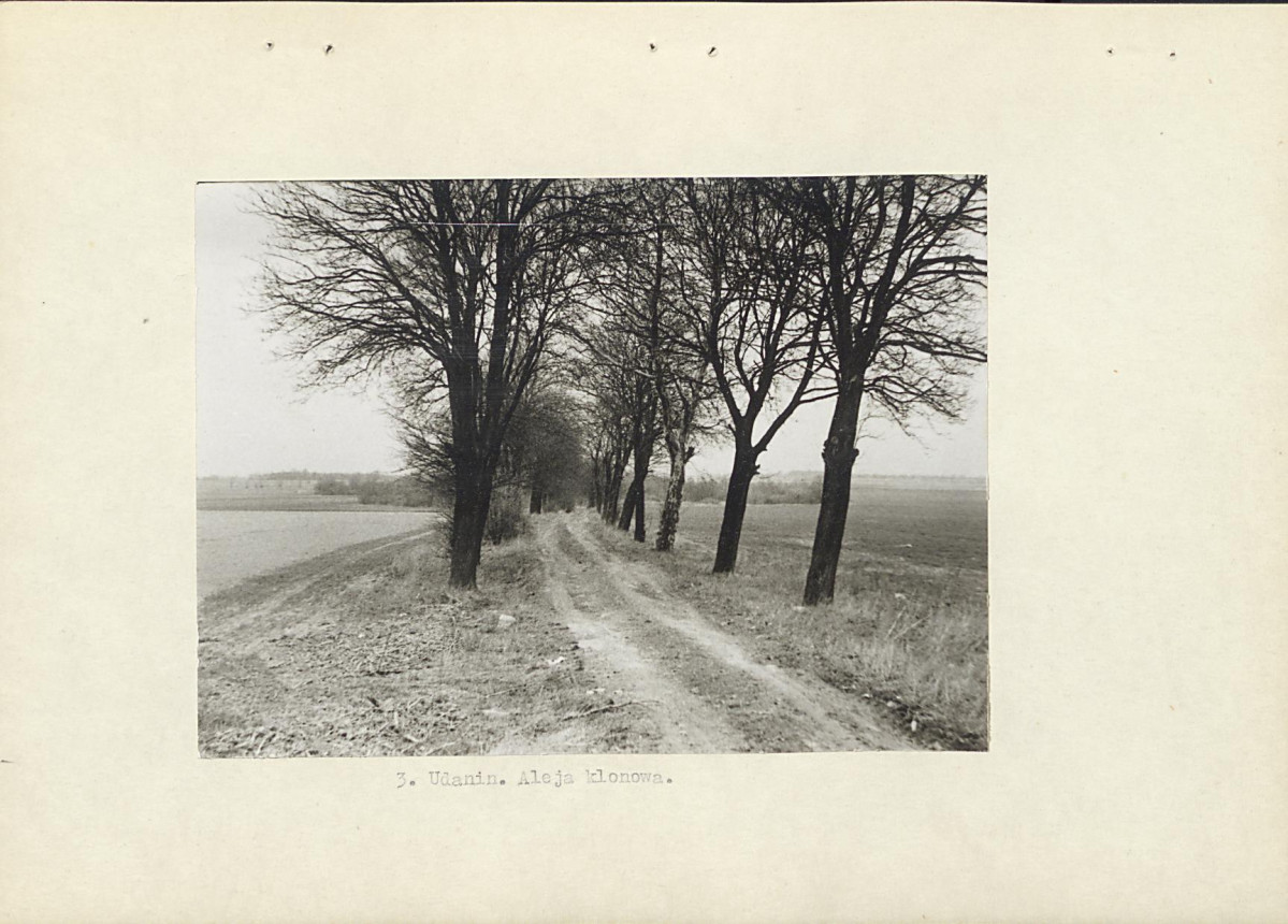 Ewidencja parkowa, skan nr 12