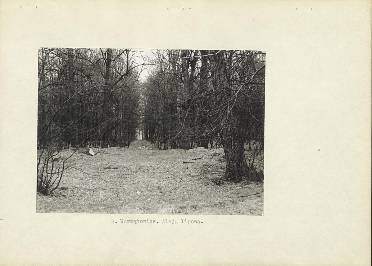 Ewidencja parkowa, skan nr 11