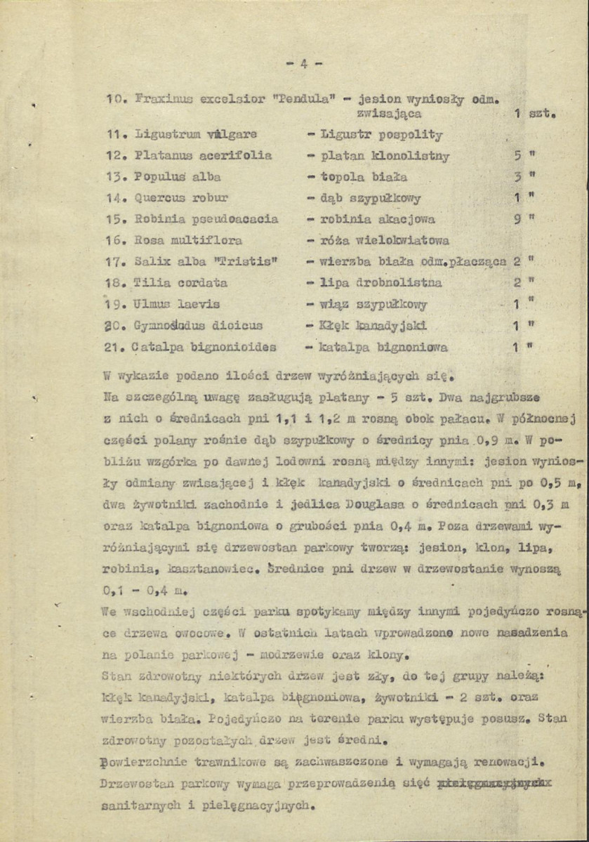 Ewidencja parkowa, skan nr 10