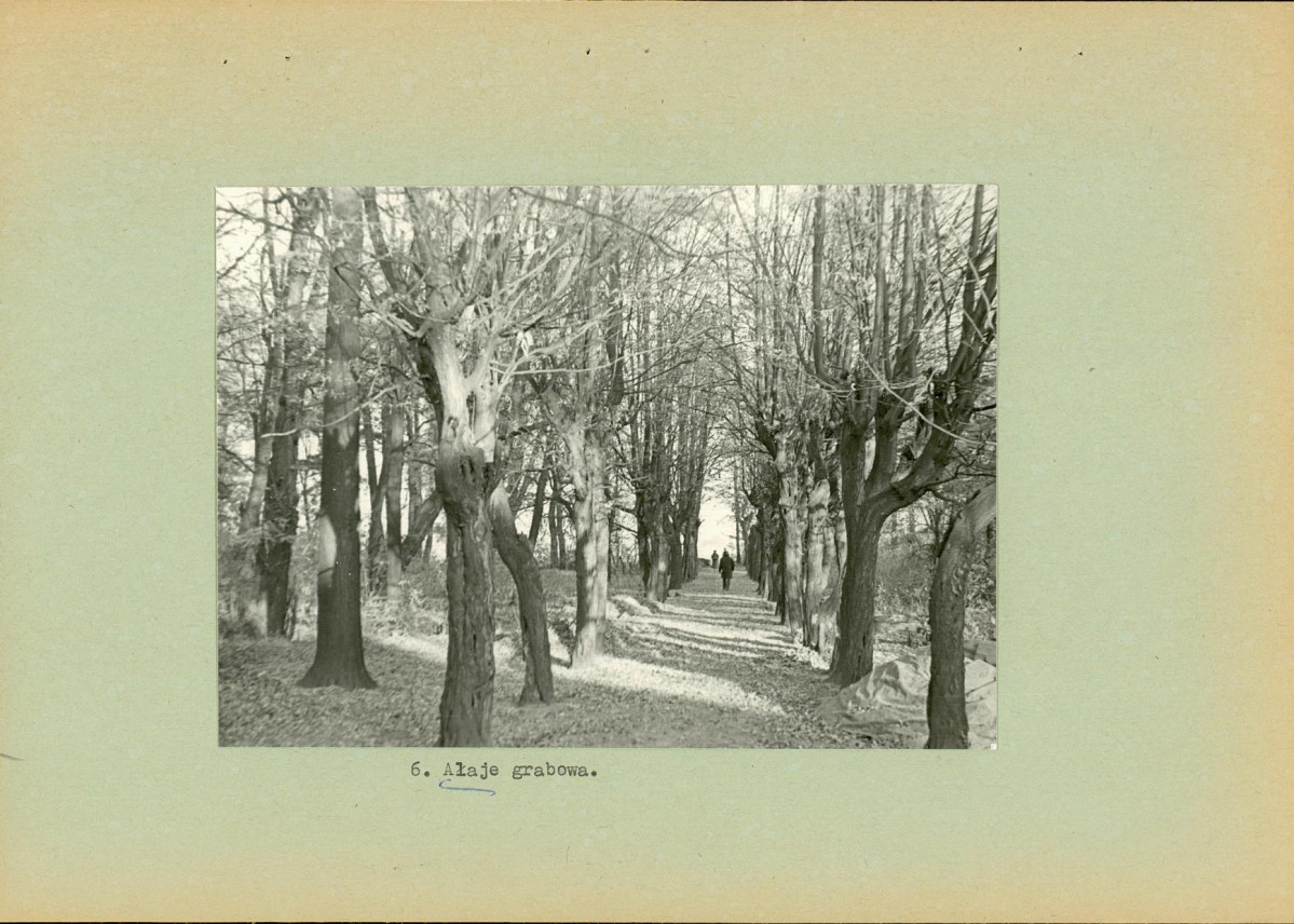 Ewidencja parkowa, skan nr 18