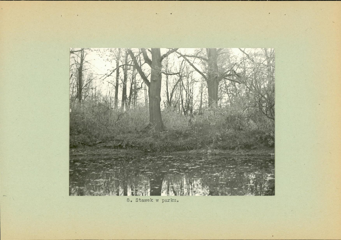 Ewidencja parkowa, skan nr 20