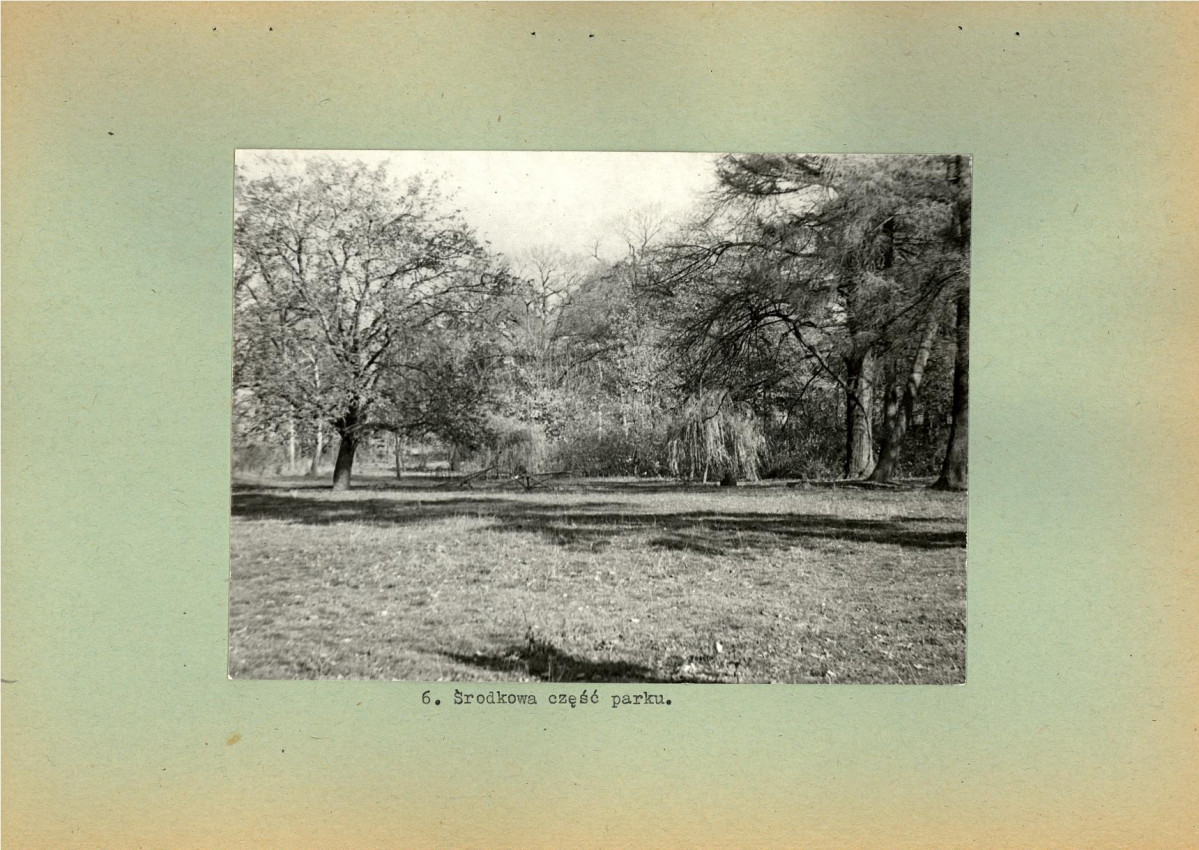 Ewidencja parkowa, skan nr 19