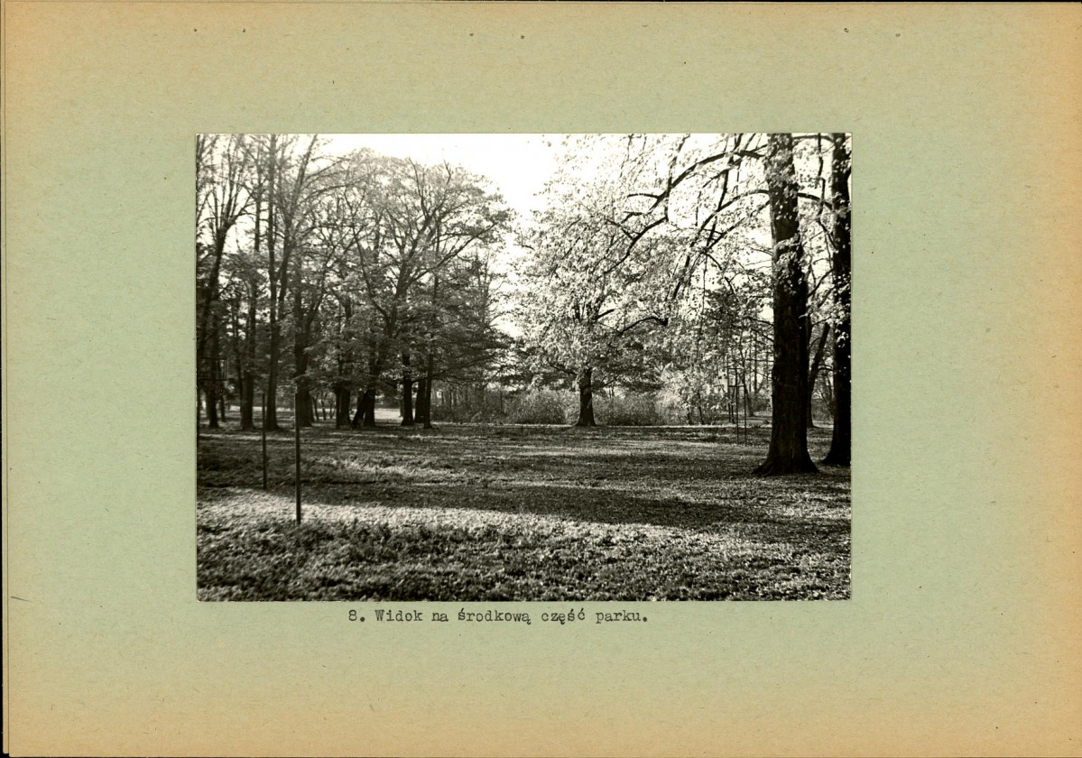 Ewidencja parkowa, skan nr 21