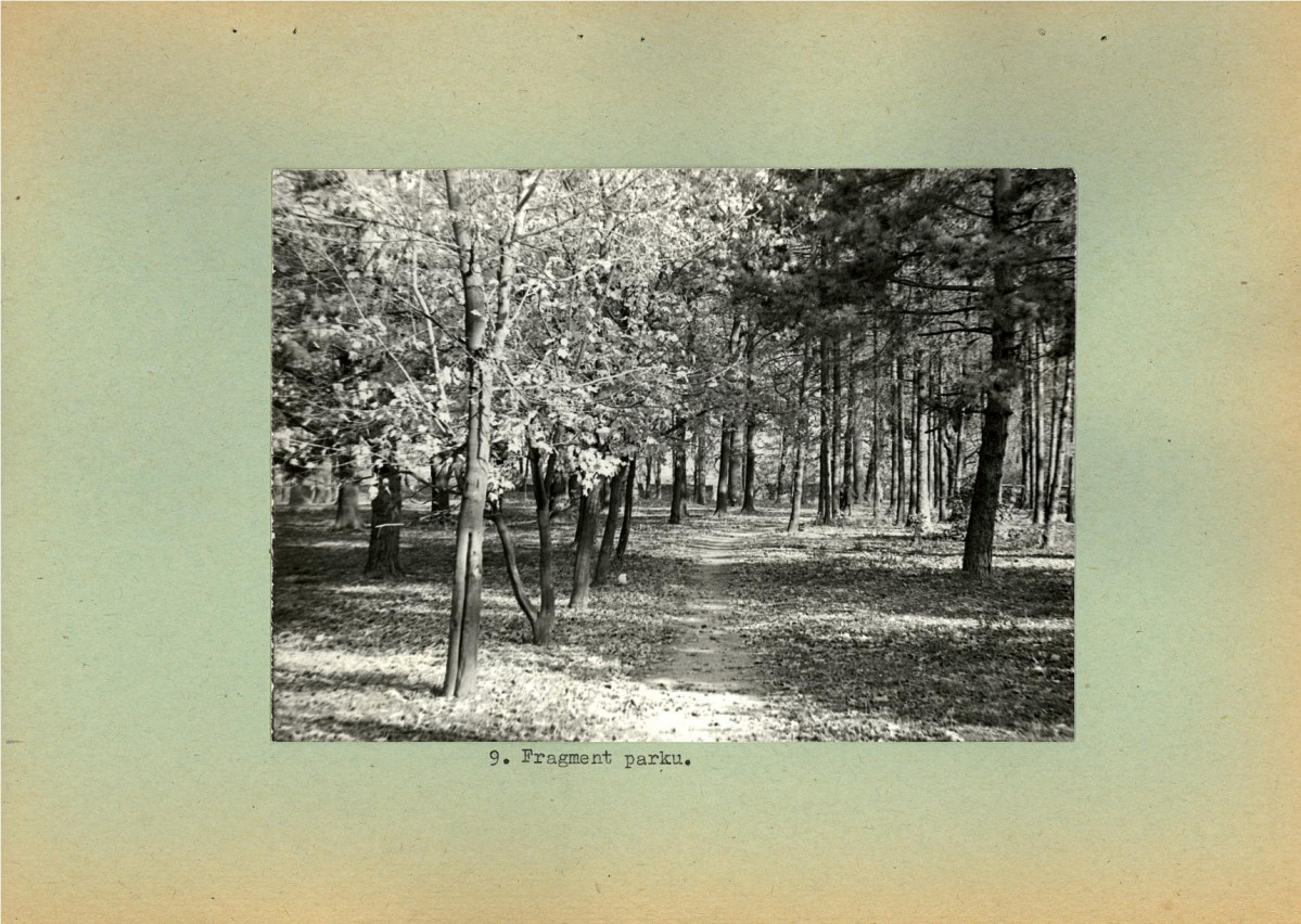 Ewidencja parkowa, skan nr 22