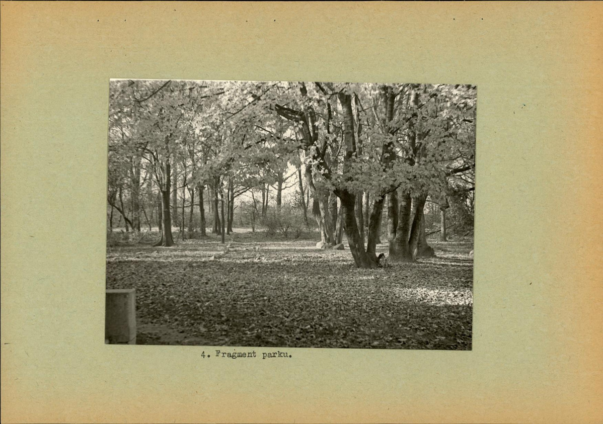 Ewidencja parkowa, skan nr 18