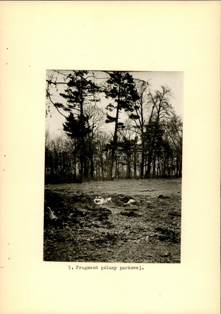 Ewidencja parkowa, skan nr 17
