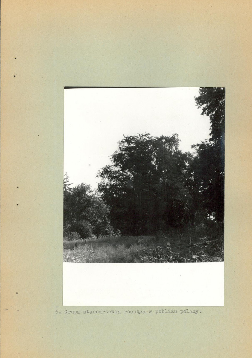 Ewidencja parkowa, skan nr 19