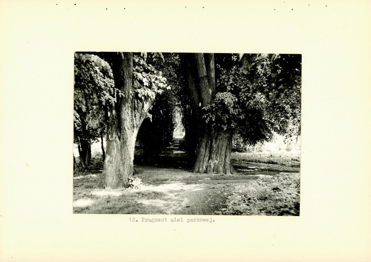 Ewidencja parkowa, skan nr 32
