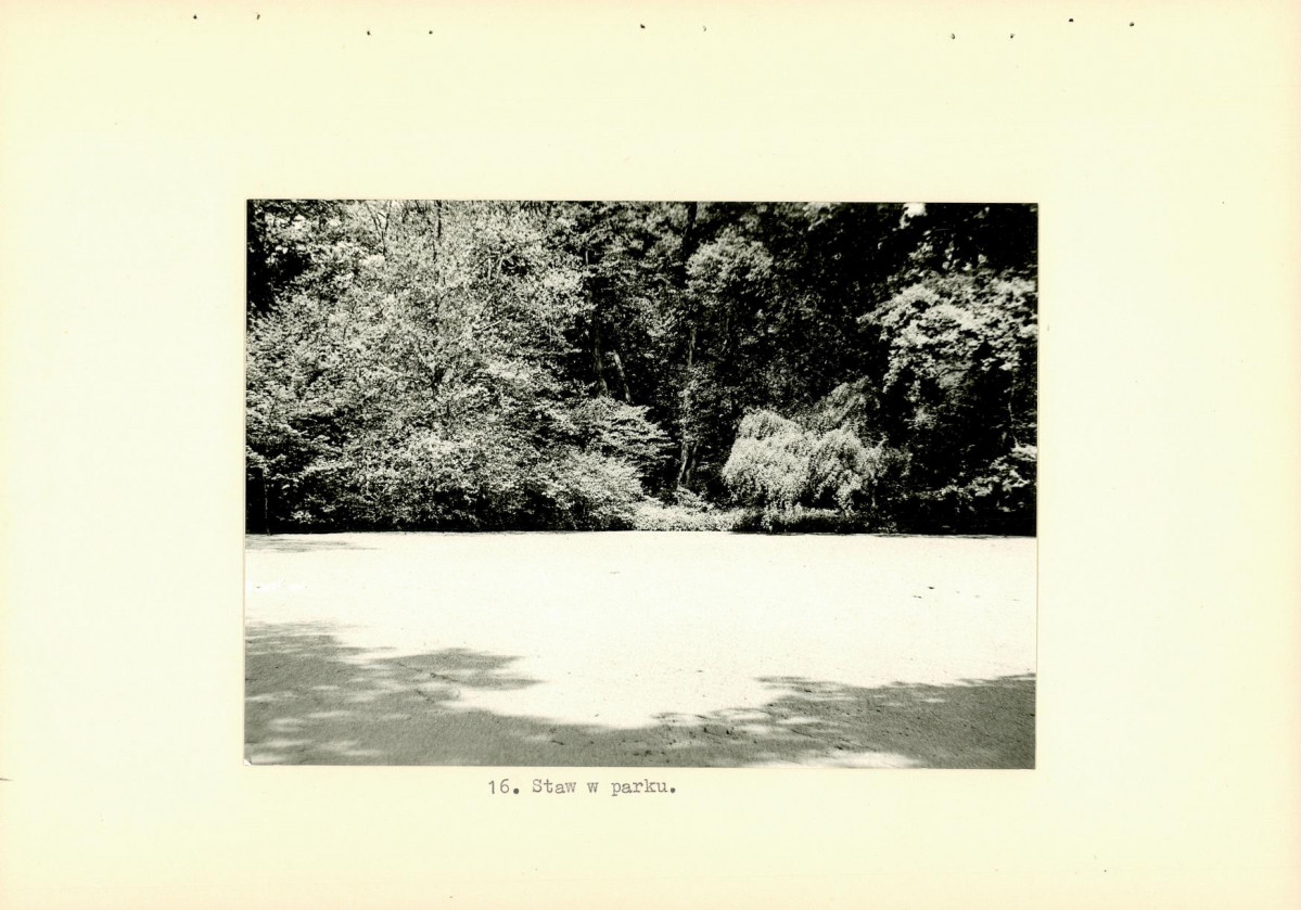 Ewidencja parkowa, skan nr 36