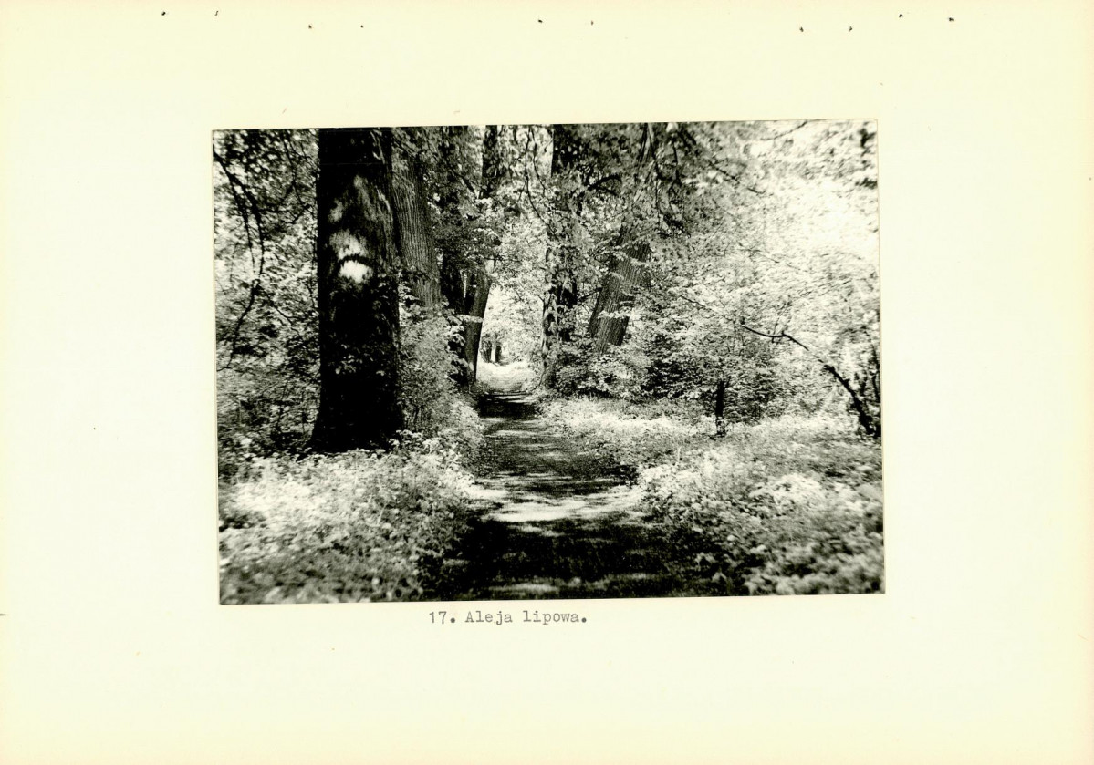 Ewidencja parkowa, skan nr 37