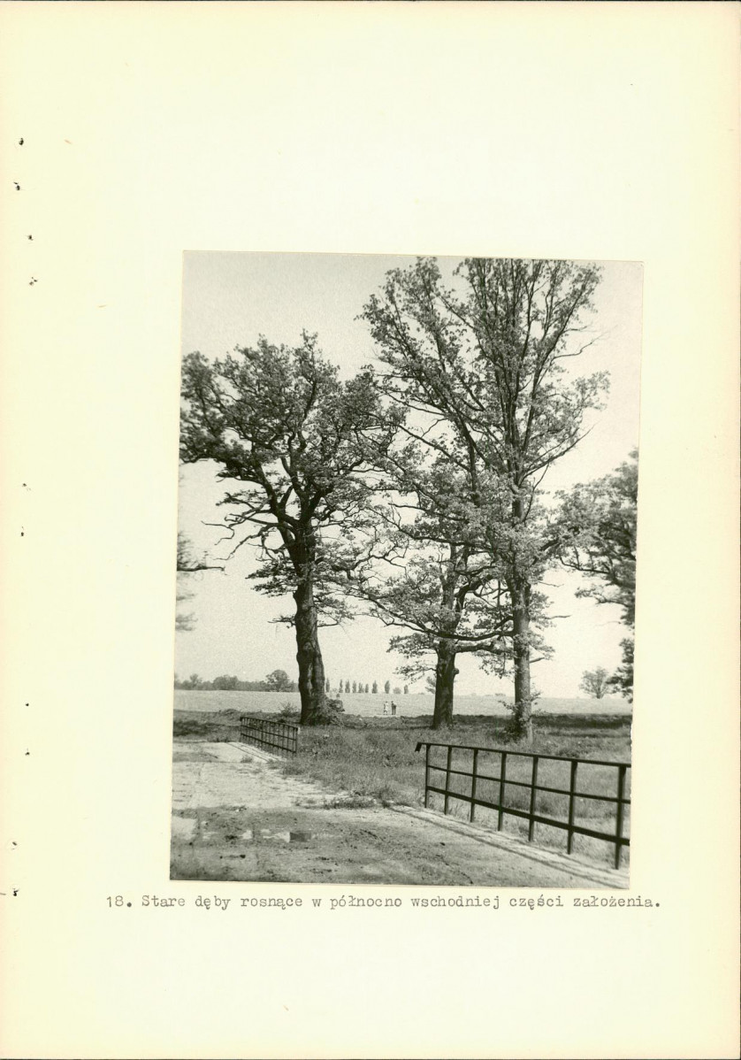 Ewidencja parkowa, skan nr 38