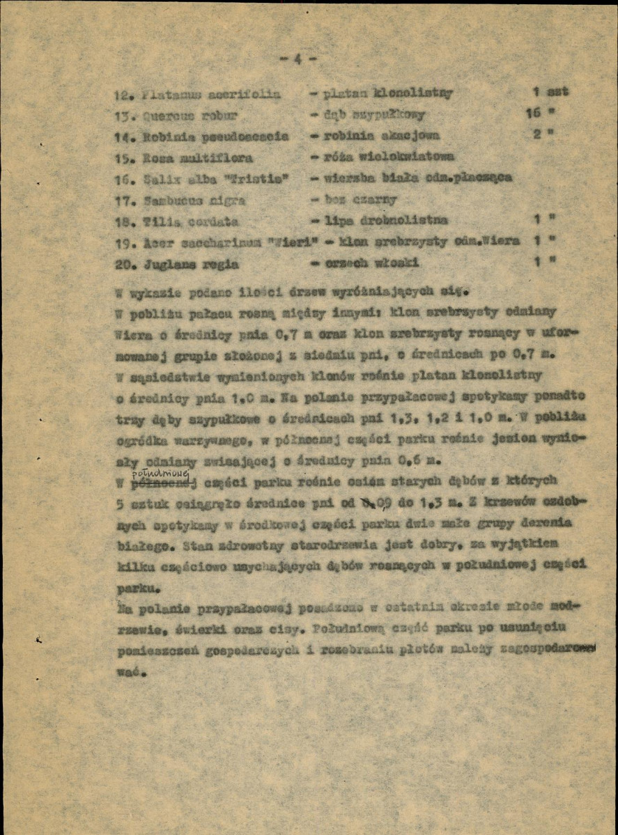 Ewidencja parkowa, skan nr 10