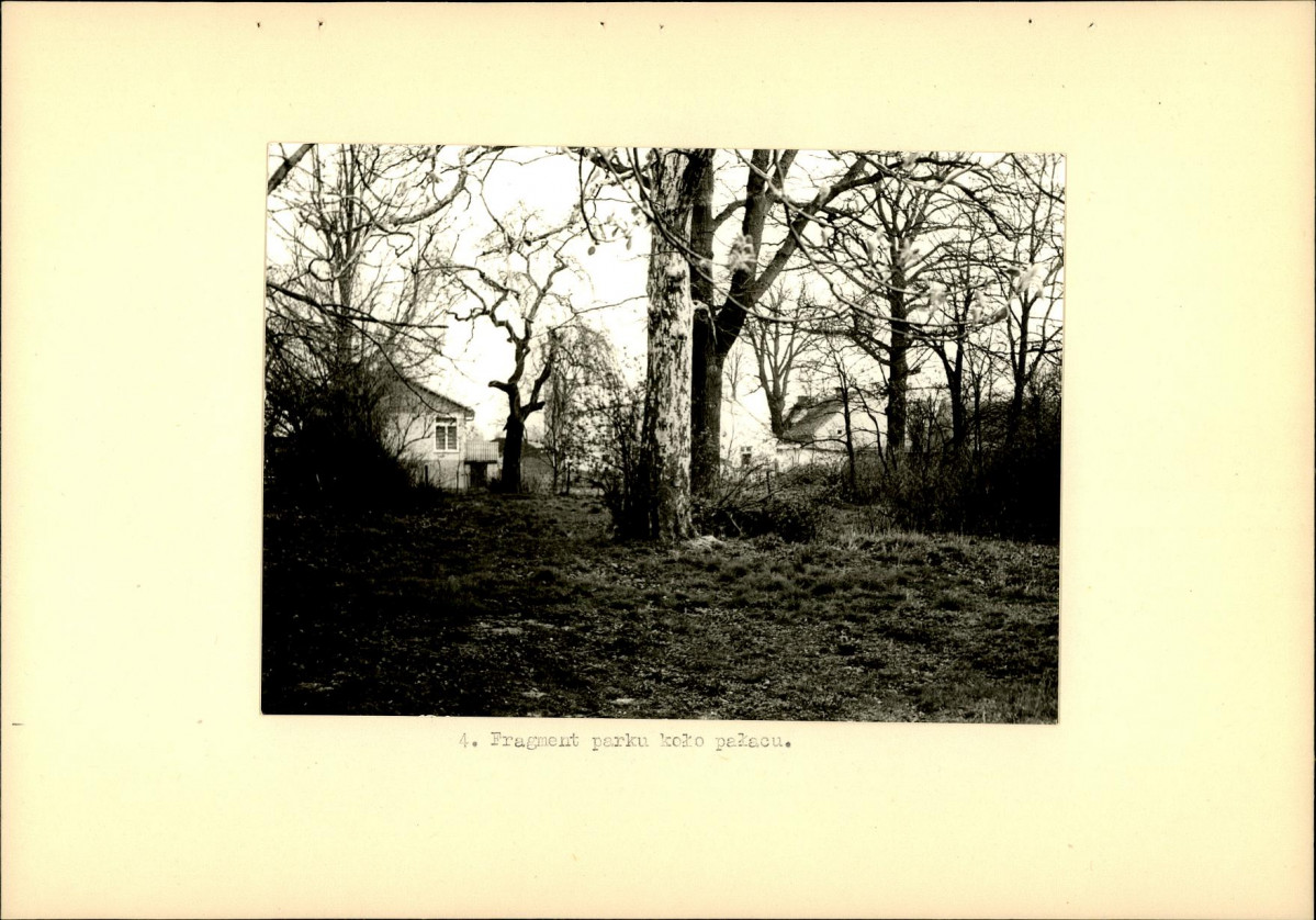 Ewidencja parkowa, skan nr 15