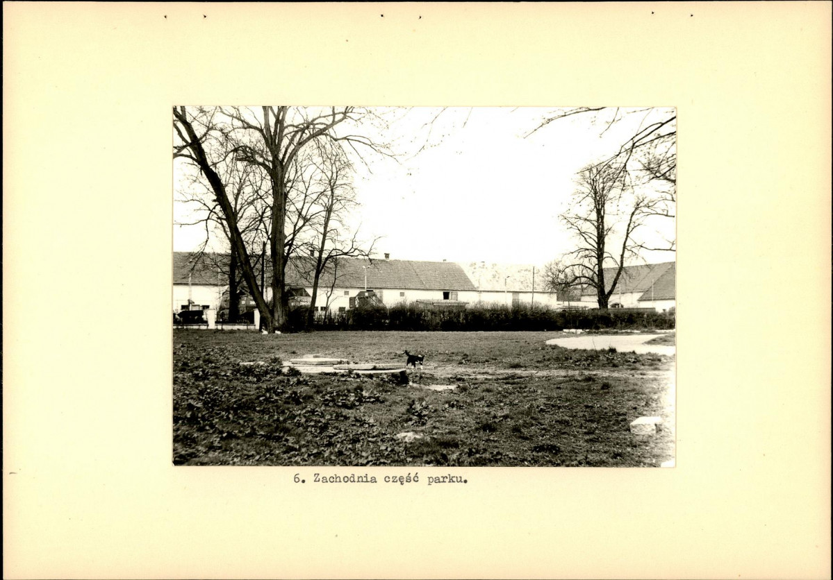 Ewidencja parkowa, skan nr 17