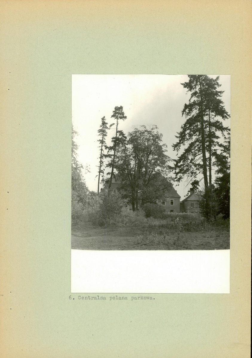 Ewidencja parkowa, skan nr 19