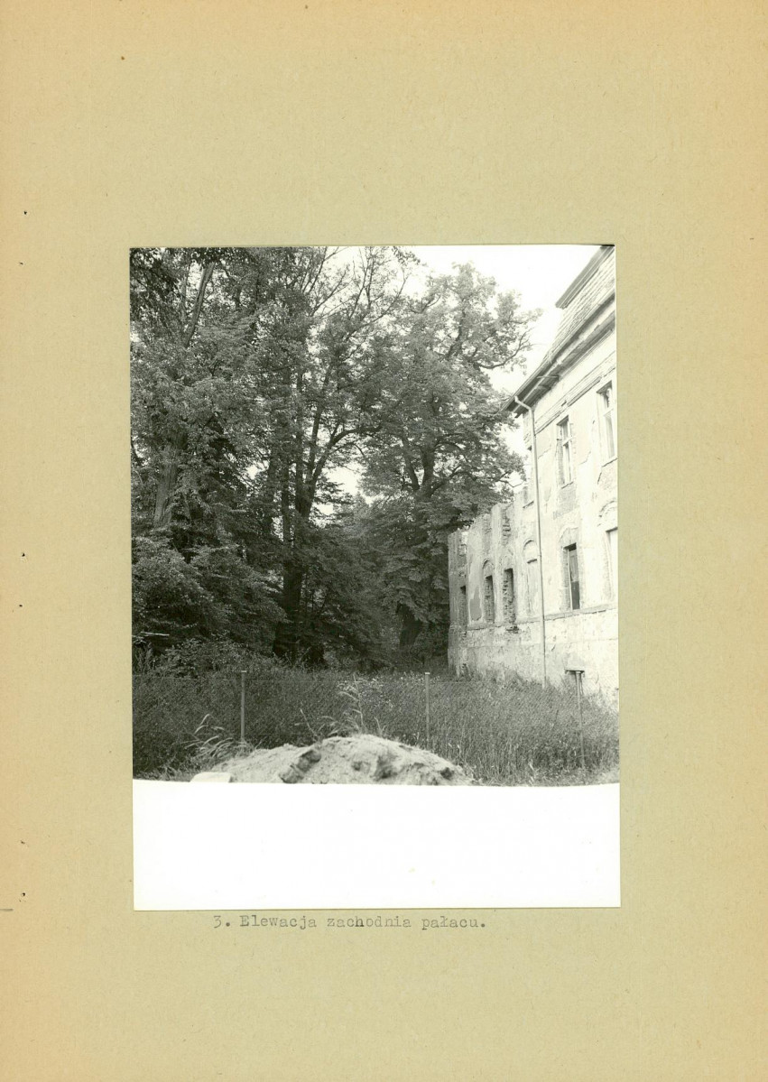 Ewidencja parkowa, skan nr 17