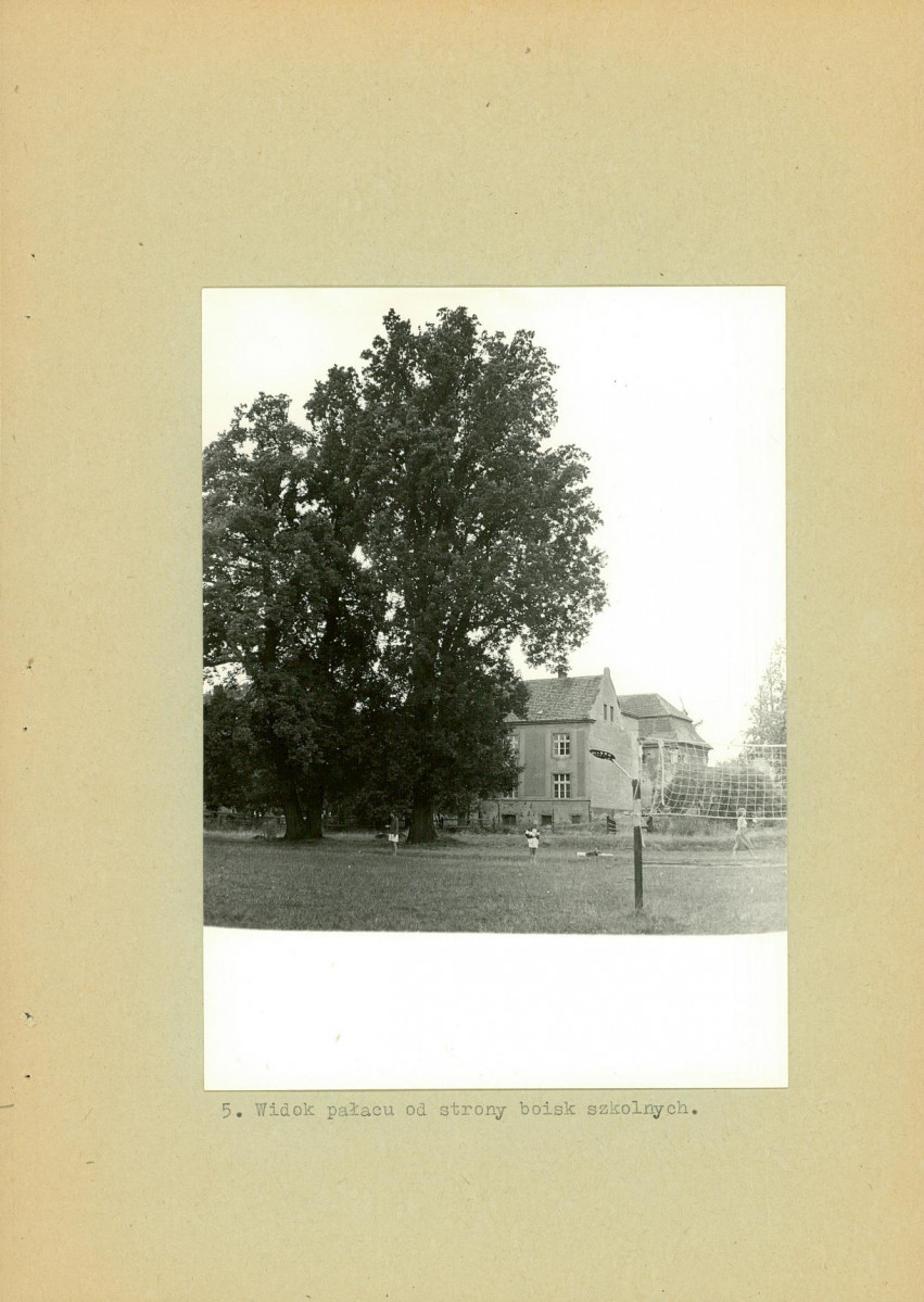 Ewidencja parkowa, skan nr 19