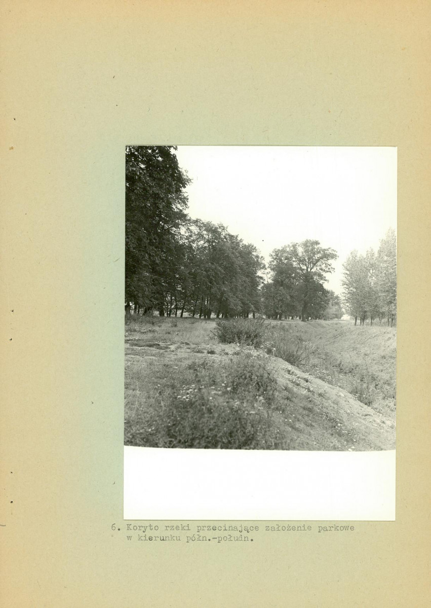 Ewidencja parkowa, skan nr 20