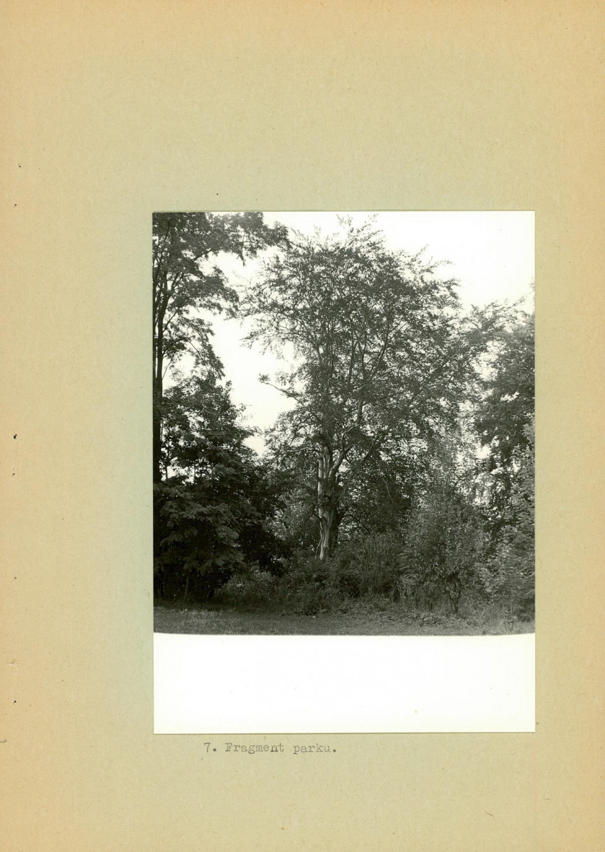 Ewidencja parkowa, skan nr 21