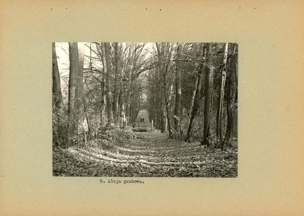 Ewidencja parkowa, skan nr 22