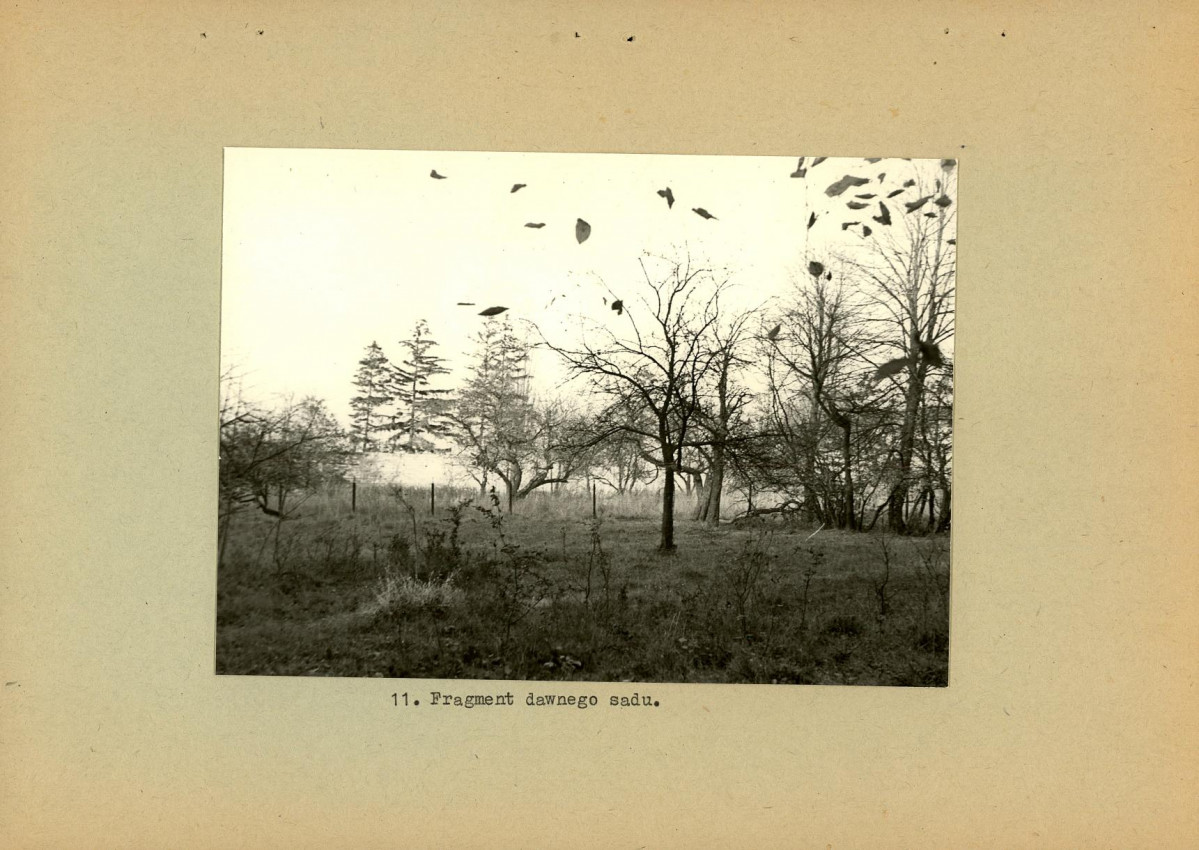 Ewidencja parkowa, skan nr 24