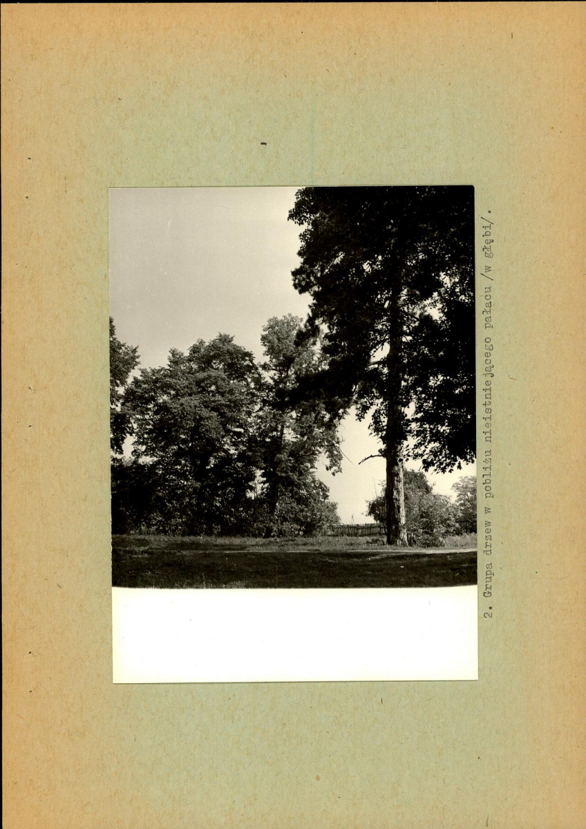 Ewidencja parkowa, skan nr 16