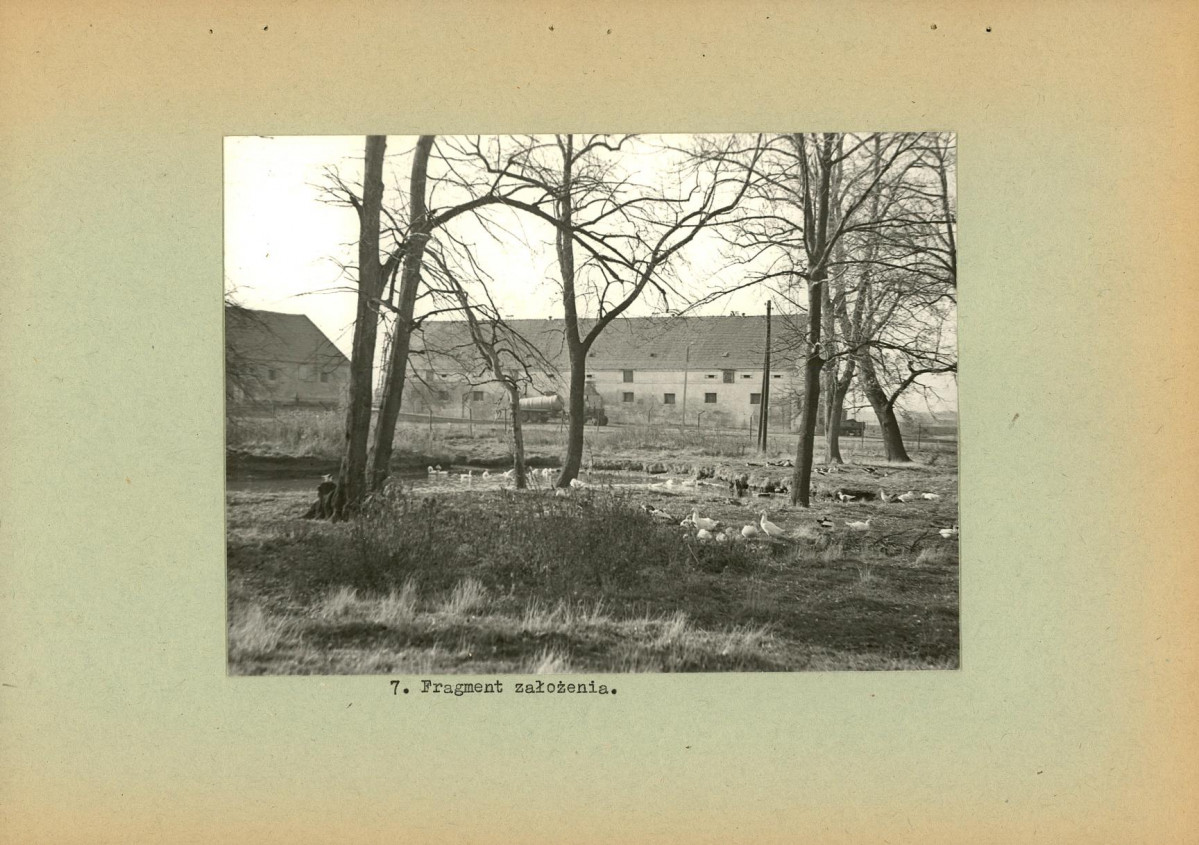 Ewidencja parkowa, skan nr 21