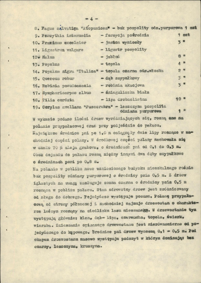 Ewidencja parkowa, skan nr 10