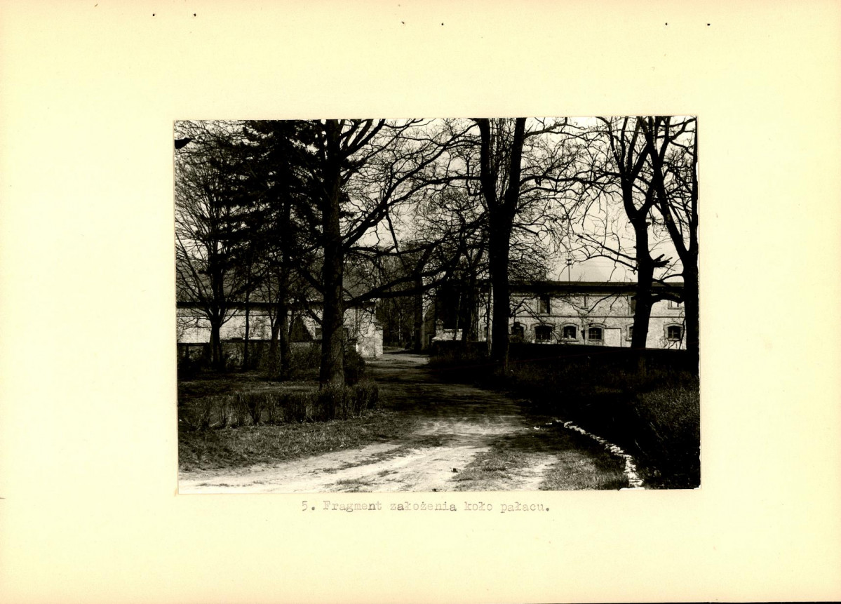 Ewidencja parkowa, skan nr 16