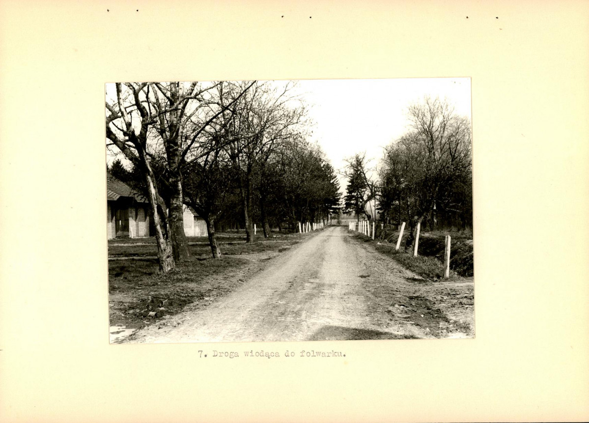 Ewidencja parkowa, skan nr 18