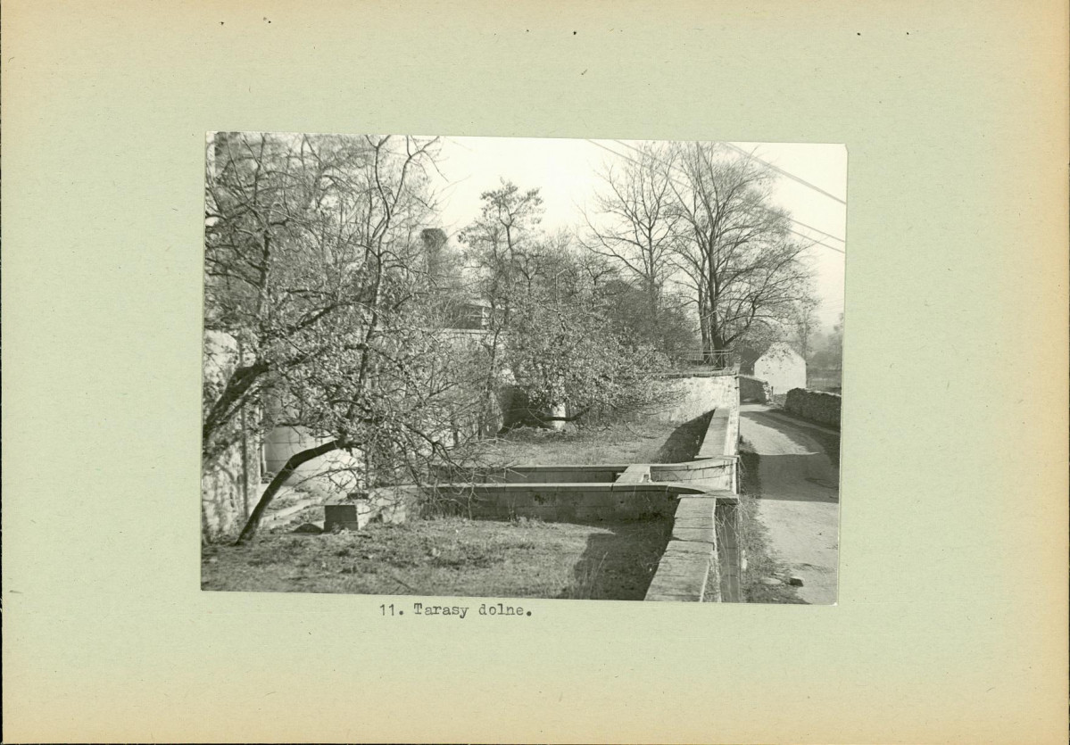 Ewidencja parkowa, skan nr 25